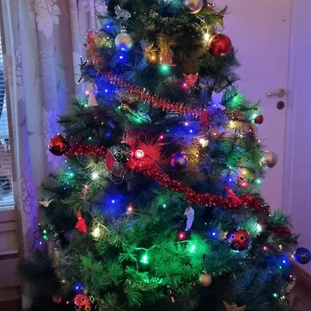 Kemihaara 度假居 罗瓦涅米