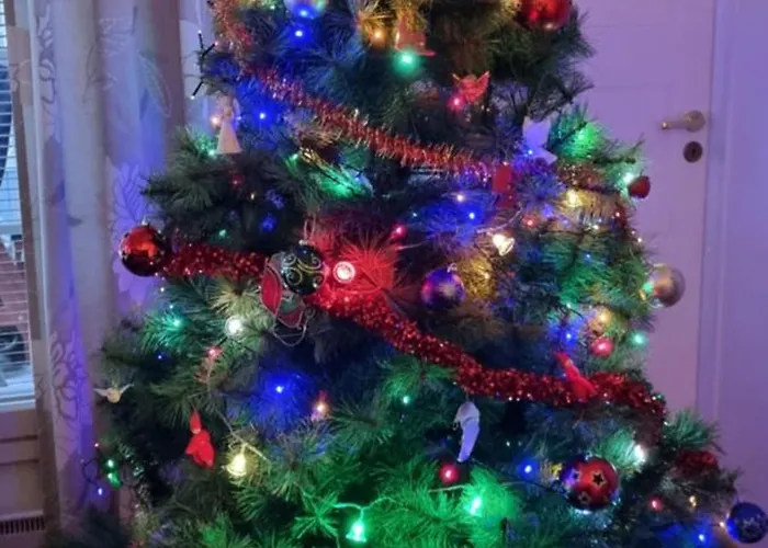 Kemihaara Σπίτι διακοπών Ροβανιέμι